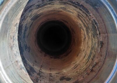 DOPO DEL NOSTRO INTERVENTO SU CANNA FUMARIA CON FORMAZIONE CATRAMOSA